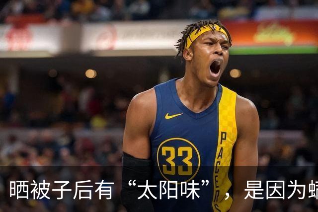 晒被子后有“太阳味”，是因为螨虫被烤焦了？科学家：太阳的功劳